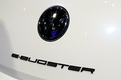 Volkswagen E-Bugster
