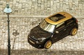 MINI Paceman Roberto Cavalli