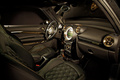 MINI Paceman Roberto Cavalli