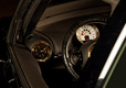 MINI Paceman Roberto Cavalli