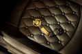 MINI Paceman Roberto Cavalli