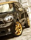 MINI Paceman Roberto Cavalli